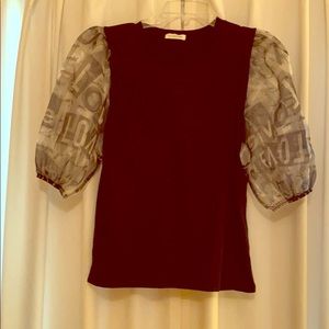 Sheer Puff Sleeve Top